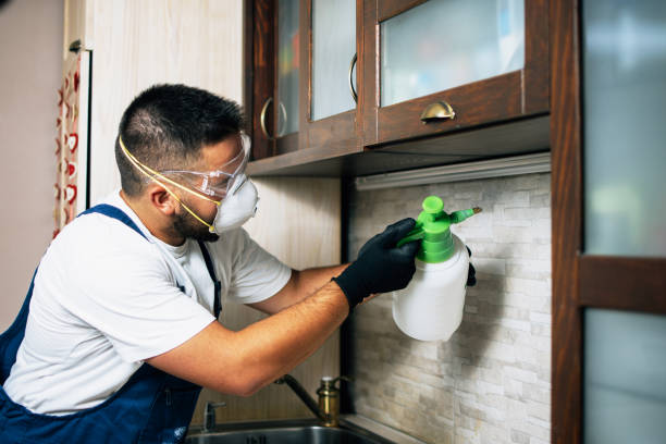 Best Pest Removal Services  in Raynham Center, MA