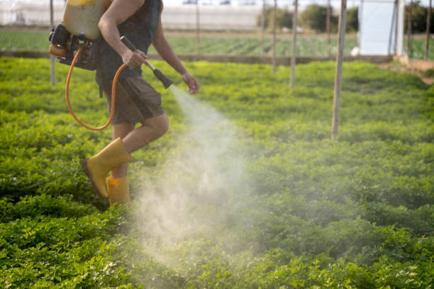 Best Best Pest Control Companies  in Raynham Center, MA